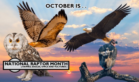 October MONTH 4 CR