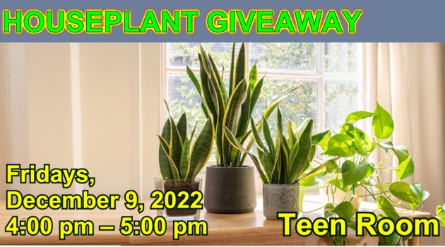 HOUSE PLANT GIVE AWAY