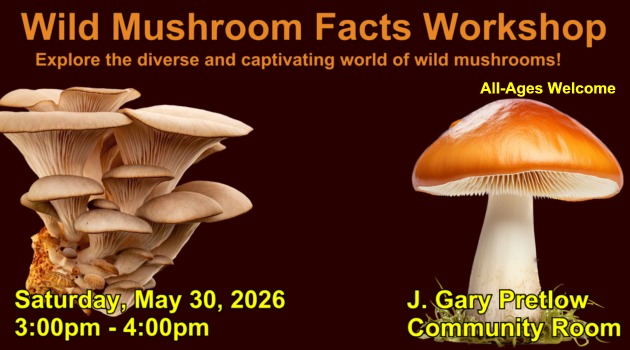 Wild Mushroom Facts